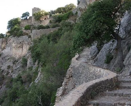 Mayol